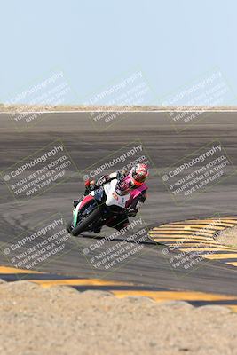 media/Mar-09-2024-SoCal Trackdays (Sat) [[bef1deb9bf]]/1-Bowl Exit (940am)/